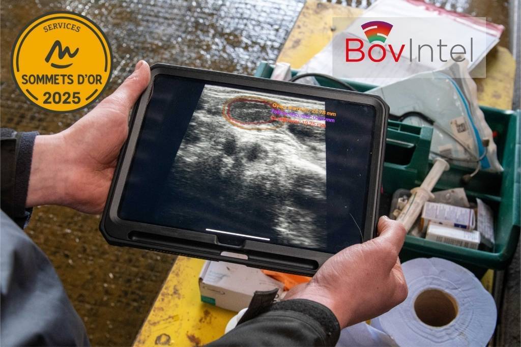 IMV Technologies vence o Prêmio Sommets d’Or 2025 na categoria “Serviços para a Pecuária” com o BovIntel