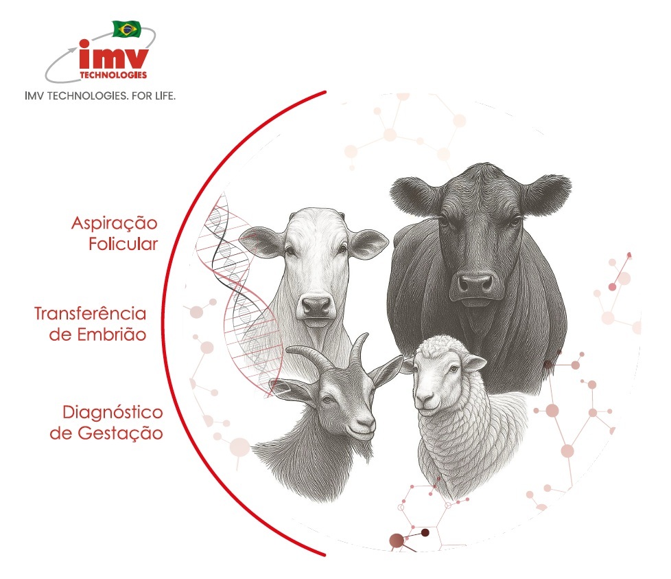 IMV Technologies Brasil marca presença como empresa parceira na Reunião Anual da SBTE, referência científica em reprodução animal